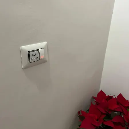 Brupier * Ruvo di Puglia